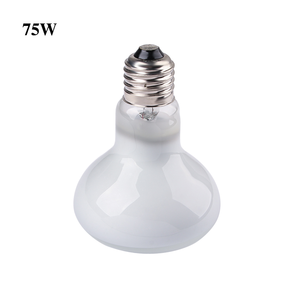 หลอดไฟฮาโลเจนให้ความร้อนสำหรับ - Basking Bulb Halogen บทวิจารณ์และราคา