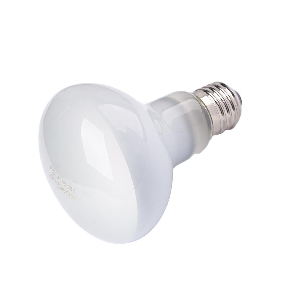 เครื่องควบคุมอุณหภูมิเต่า หลอด - Basking Bulb Halogen บทวิจารณ์และราคา