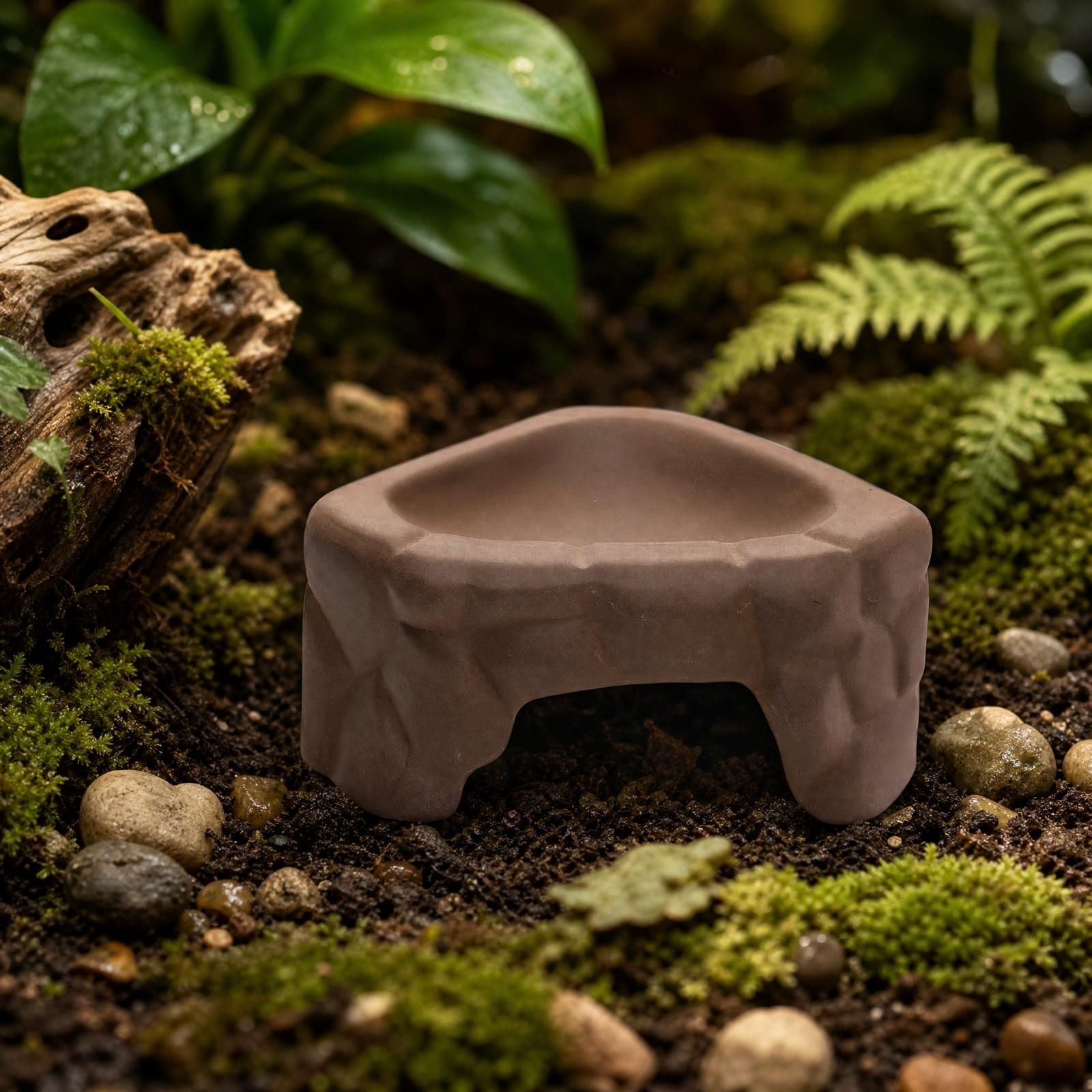 แท่นให้อาหารสัตว์เลื้อยคลานเซร - Hide Cave Ceramic บทวิจารณ์และราคา